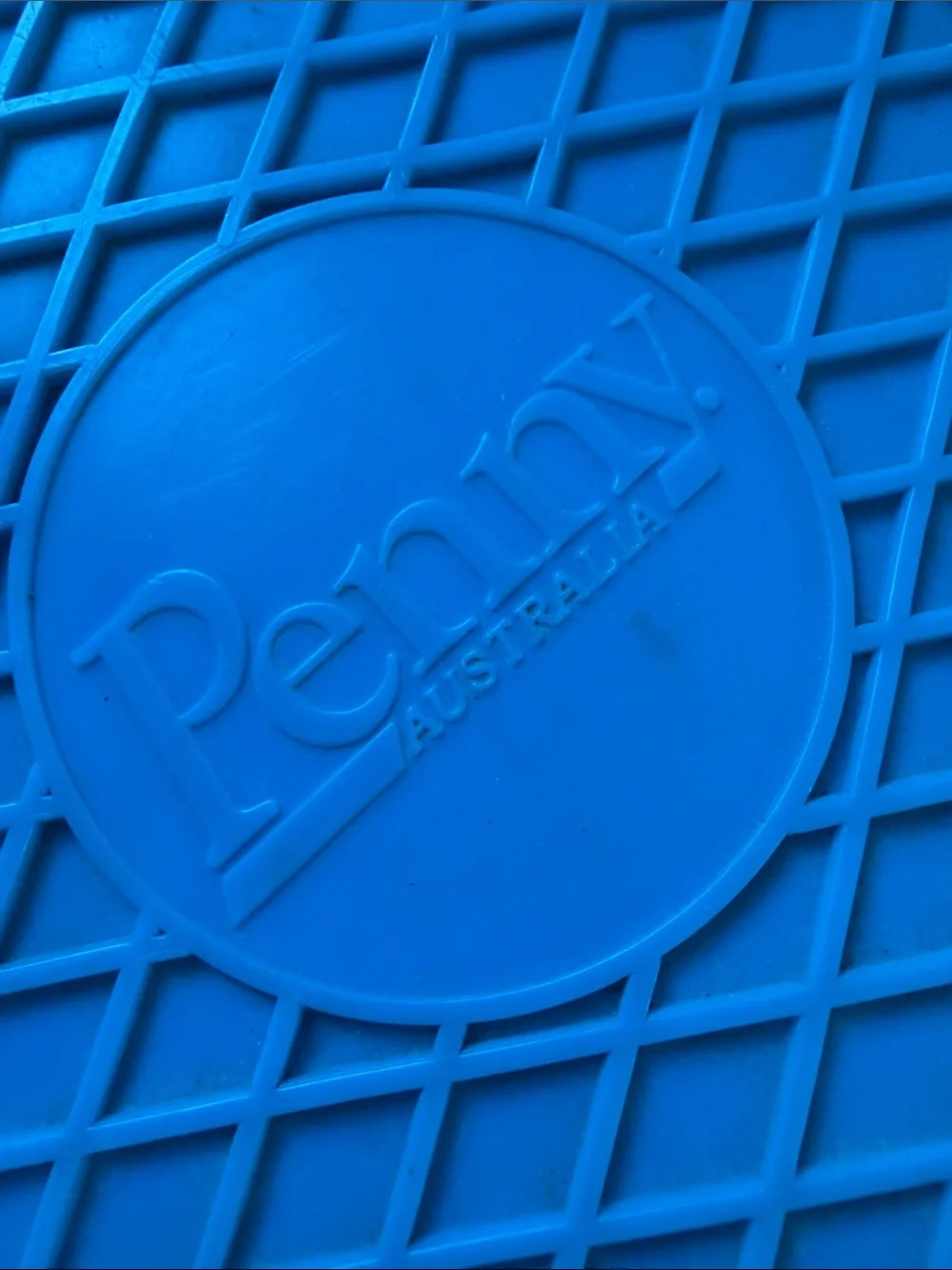 Penny Blue Plastic Cruiser Skateboard | Australia